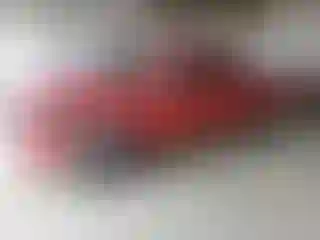 Vehicle Image- 2005 Toyota Tacoma