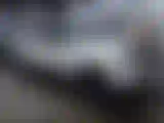 Vehicle Image- 2005 Toyota Tacoma