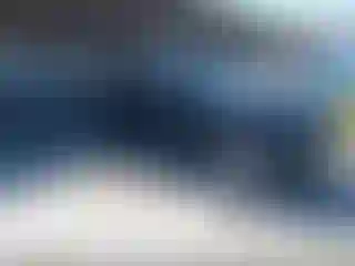 Vehicle Image- 2007 Toyota Tacoma