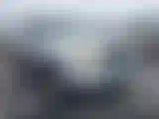 Vehicle Image- 2007 Toyota Tacoma