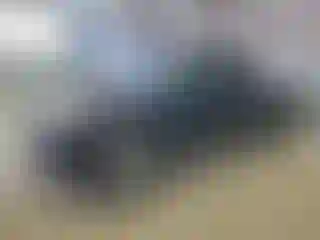 Vehicle Image- 2009 Toyota Tacoma