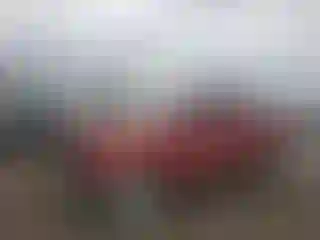 Vehicle Image- 2005 Toyota Tacoma
