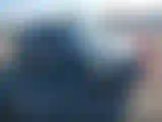 Vehicle Image- 2006 Toyota Tacoma