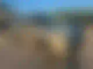 Vehicle Image- 2006 Toyota Tacoma
