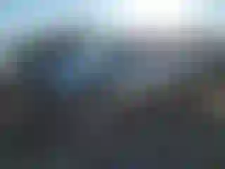 Vehicle Image- 2008 Toyota Tacoma