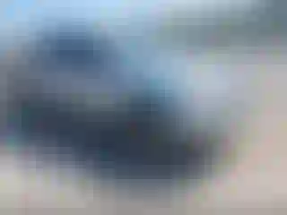 Vehicle Image- 2008 Toyota Tacoma