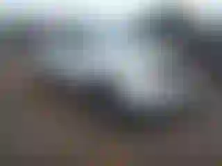 Vehicle Image- 2005 Toyota Tacoma