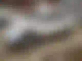 Vehicle Image- 2005 Toyota Tacoma
