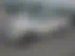 Vehicle Image- 2009 Toyota Tacoma