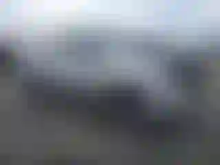 Vehicle Image- 2005 Toyota Tacoma