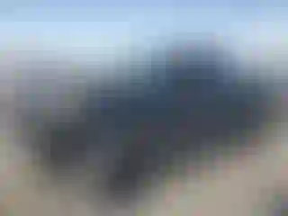 Vehicle Image- 2007 Toyota Tacoma