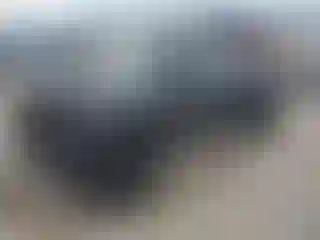 Vehicle Image- 2007 Toyota Tacoma