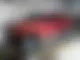 Vehicle Image- 2008 Toyota Tacoma