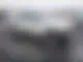Vehicle Image- 2007 Toyota Tacoma