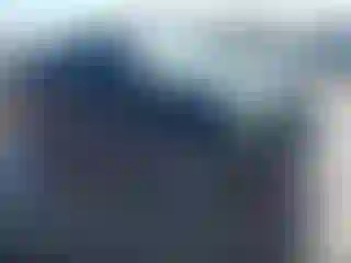 Vehicle Image- 2008 Toyota Tacoma
