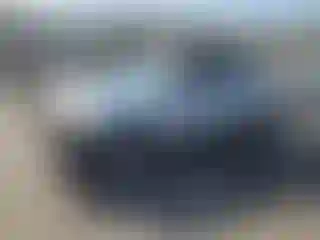 Vehicle Image- 2008 Toyota Tacoma