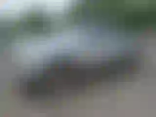 Vehicle Image- 2006 Toyota Tacoma