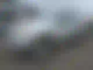 Vehicle Image- 2007 Toyota Tacoma