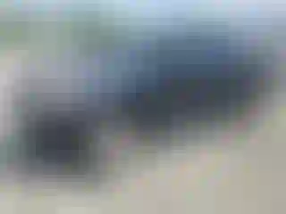 Vehicle Image- 2008 Toyota Tacoma
