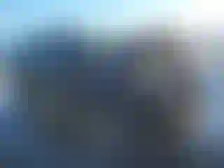 Vehicle Image- 2005 Toyota Tacoma