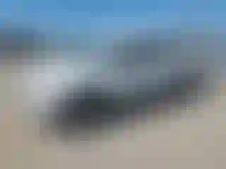 Vehicle Image- 2007 Toyota Tacoma
