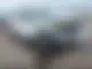 Vehicle Image- 2008 Toyota Tacoma