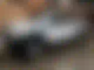 Vehicle Image- 2008 Toyota Tacoma