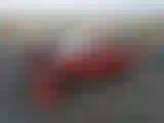 Vehicle Image- 2010 Toyota Tacoma