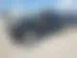 Vehicle Image- 2010 Toyota Tacoma