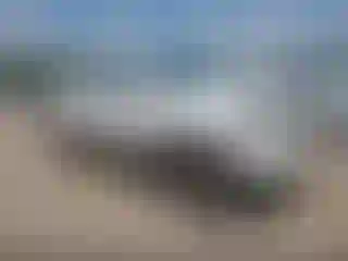 Vehicle Image- 2005 Toyota Tacoma