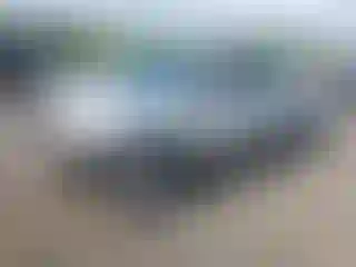 Vehicle Image- 2006 Toyota Tacoma