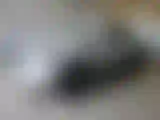 Vehicle Image- 2007 Toyota Tacoma