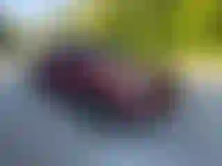 Vehicle Image- 2006 Toyota Tacoma
