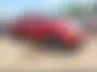 Vehicle Image- 2005 Toyota Tacoma