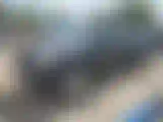 Vehicle Image- 2005 Toyota Tacoma