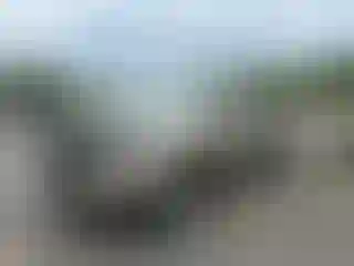 Vehicle Image- 2005 Toyota Tacoma