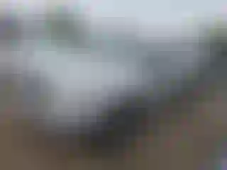 Vehicle Image- 2009 Toyota Tacoma