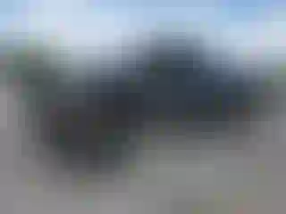 Vehicle Image- 2005 Toyota Tacoma