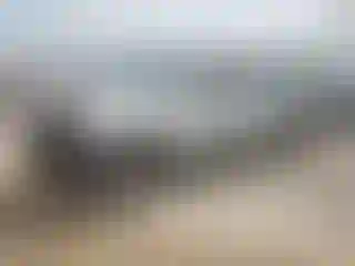 Vehicle Image- 2007 Toyota Tacoma
