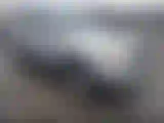Vehicle Image- 2005 Toyota Tacoma