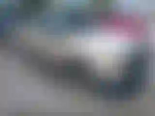 Vehicle Image- 2002 Toyota Tacoma