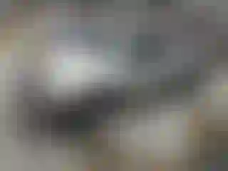 Vehicle Image- 2003 Toyota Tacoma
