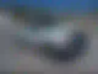 Vehicle Image- 2002 Toyota Tacoma