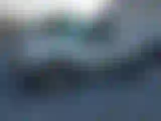 Vehicle Image- 2004 Toyota Tacoma