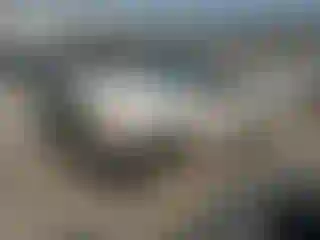 Vehicle Image- 2001 Toyota Tacoma