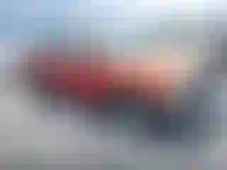 Vehicle Image- 2002 Toyota Tacoma