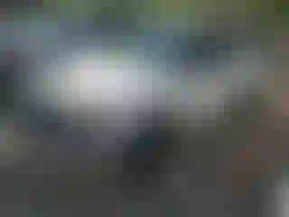 Vehicle Image- 2003 Toyota Tacoma