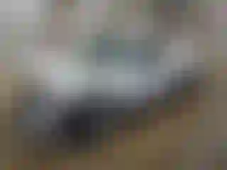 Vehicle Image- 2004 Toyota Tacoma