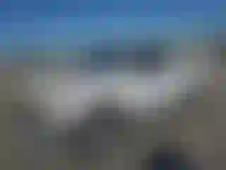 Vehicle Image- 2001 Toyota Tacoma