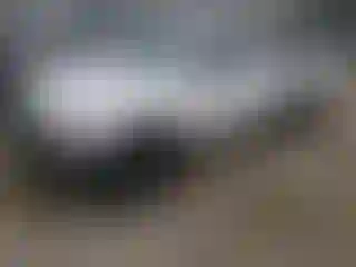 Vehicle Image- 2002 Toyota Tacoma